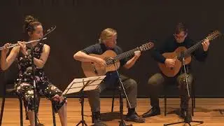 Tira Poeira by Satiro Bilhar performed by Melbourne Choro Allstars