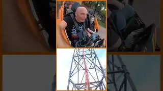 Tigris at Busch Gardens