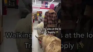 JEFFREE STAR Shopping with the YAKS ⭐⭐⭐#jeffreestar