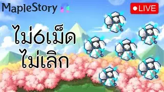 🔴 MapleStory N | วันนี้ต้องครบ6เม็ด