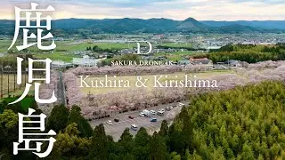 [桜ドローン撮影4K] 鹿児島県 串良平和公園, 霧島神話の里公園, 丸岡公園/ Kushira Heiwa Park, Maruoka Park, Kagoshima | 桜ドローンプロジェクト