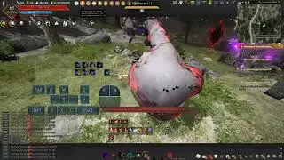 Bdo succ tamer pve guide