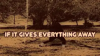 IF IT GIVES EVERYTHING AWAY