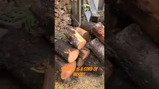 So what is a cord of wood? #imperfectfarm #firewood #firewoodsplitter