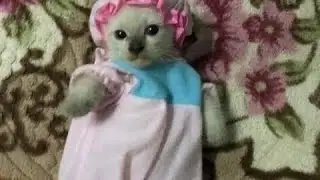Mi primer ASMR(⁠灬⁠º⁠‿⁠º⁠灬⁠)⁠♡