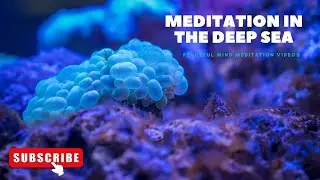 Meditation In The Ocean - A Relaxing and Calming Experience