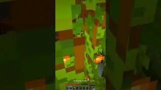 #minecraftshorts