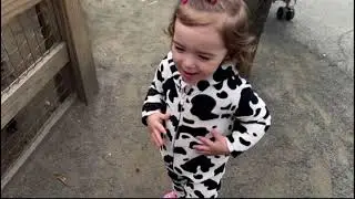 Queens Zoo & Farm