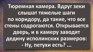 Опасный Пассажир в Хате! Лучшие Анекдоты Всех Времен!