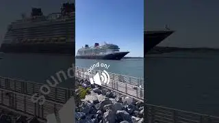 Two favs&hellip;cruising and Star Wars! #cruise #cruising #cruiselife #starwars #instacruise #cruisegram