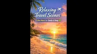 Relaxing Travel Scenes/Vibes | Calm Music for Study & Sleep ✈️ 🌍 ⭐ #shorts #live #animallovers