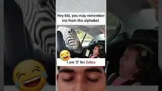 'Z' for Zebra 😂#funny #meme #shorts