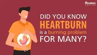 An animation Video about an OTC heartburn product | Himcocid | pharma Industry