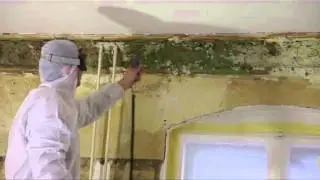 Stucksanierung - Reinigung