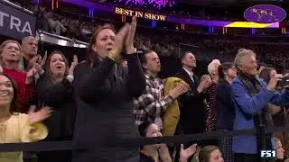 Penny the Doberman Pinscher Wins Best in Show | 150th Westminster Kennel Club Dog Show