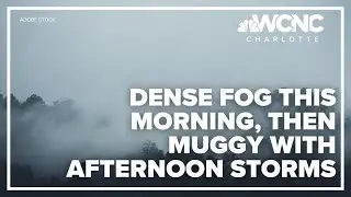 Forecast: Dense fog in the morning, then muggy with afternoon storms