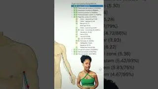 Free Bio-well Scan! infinitewholistics.com