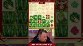 Najlepsza funkcja w tym NOWYM slocie Big Bamboo?!