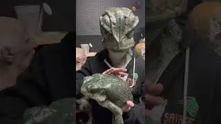 Which toad is FAKE?