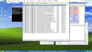 Basic Dynamic Analysis (Part 2) - Win32.Pinfi.B Malware