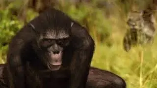 I Predatori della Preistoria | ITALIANO - Parte 09 _ La preda uomo si ribella