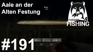 Viele Aale an der Alten Festung 🎣 🐋 | Russian Fishing 4 #191 | Deutsch | UwF