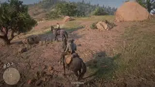 Red Dead Redemption 2_20190810183613
