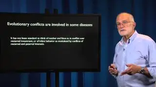11.2 - Classical and evolutionary medicine