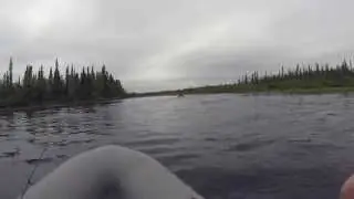 Клуб Ристикент, река Нота Мурманская область / The Nota River Murmansk region