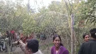 Ashokenagar e komla lebu Bagan 