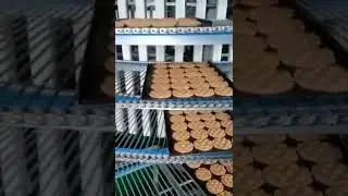 Chain Cooling Spiral Conveyor