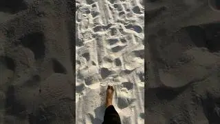 🗣️ #Beach please🙄✌🏽😎#foryou #beachplease #agua #florida #alabama #foryoupage 🌊👙🏝️☀️
