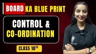 BOARD KA BLUEPRINT + CONTROL & CO-ORDINATION| CLASS 10 SCIENCE | MOST IMPORTANT + FULL STRATEGY |