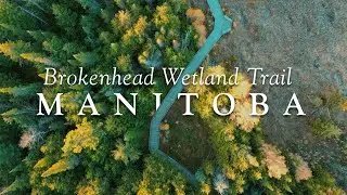 Brokenhead Wetland Trail Manitoba Fall | Cinematic Drone Footage