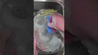 Dish Handwashing #soothing #asmr #dishwashing #satisfying #notalking #asmrcleaning #soap #asmrsounds