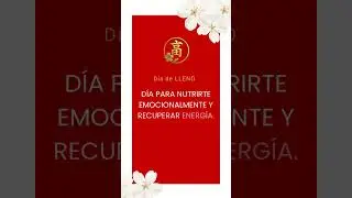 Tong Shu 29.01.2026
