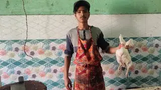 Amazing Chicken Cutting Skills whole Chicken Cutting Murga Cutting #chicken