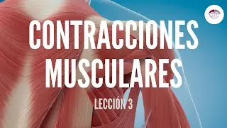 3. CLASIFICACIÓN DE LAS CONTRACCIONES MUSCULARES (FISIOLOGÍA MUSCULAR)