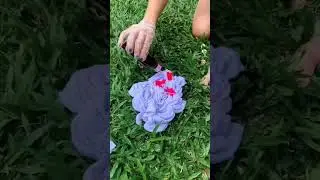 Scrunch Tiedye Tutorial.  #tiedyetutorial #tiedye #marble