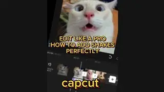 SMOOTH SHAKE TUTORIAL IN CAPCUT | Itz_Mhx #cat #funny #capcut #tutorial #itz_Mhx