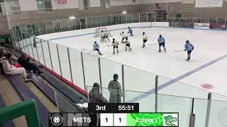 Edina vs METS