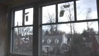 Home Energy Efficiency Tips: Windows