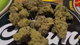 4C Labs Premium BDD T26 Banana Daddy Medical Cannabis Flower ⚠️