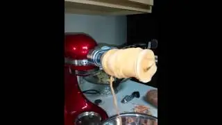 KitchenAid Spiralizer Sweet Potato Fries