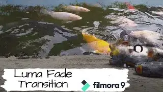 Cara Edit Video Luma Fade Transition di Filmora 9