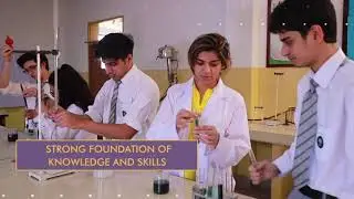 The SABIS&reg; curriculum