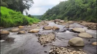 Untamed River Roar &ndash; Wild Nature Ambient Sounds