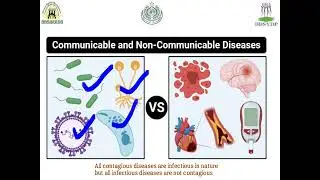 Contagious/Communicable & Noncontiguous/Noncommunicable Diseases of Pets#petlovers#pets #veterinary