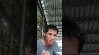 Ăn cơm thịt heo quay kho món ăn channel miền Tây