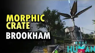 Morphic Crate Brookham Once Human